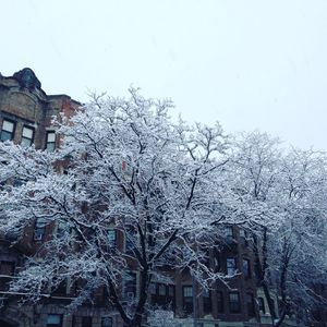 Image post by @joesungrae on Instagram
