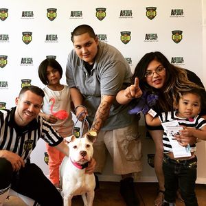 Image post by @animalplanet on Instagram