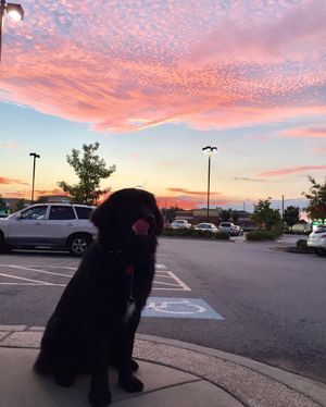 Image post by @nashthenewfie on Instagram