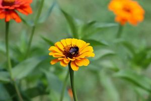 Image post by @_1legacy_ on Instagram