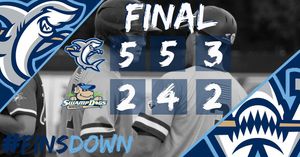 Image post by @ilmsharks on Instagram