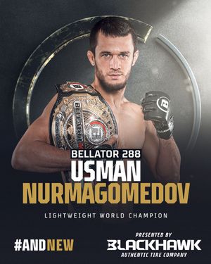 Image post by @bellatormma on Instagram
