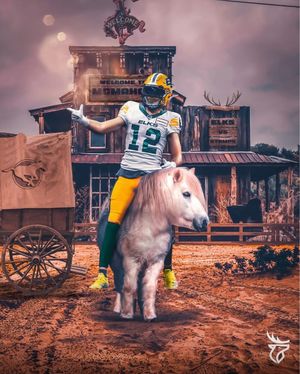 Image post by @goelks on Instagram