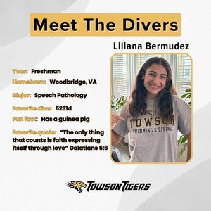 Image post by @towson_diving on Instagram
