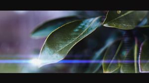 Image post by @atebitnate on Instagram