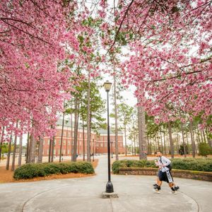 Image post by @uncwadmissions on Instagram