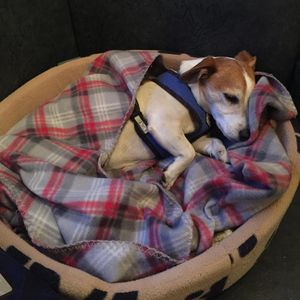 Image post by @snaffle_it on Instagram