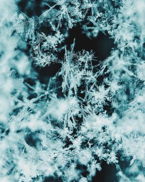 Image post by @moment on Instagram