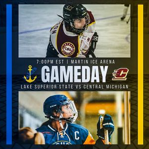Image post by @cmu_wclubhockey on Instagram