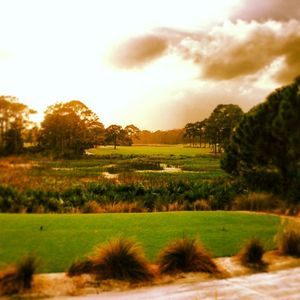 Image post by @lukedonald on Instagram