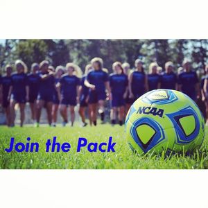 Image post by @nutimberwolves on Instagram
