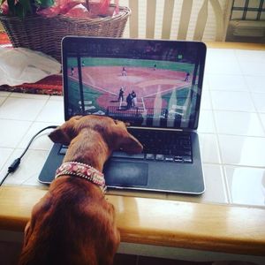 Image post by @dartmouthsoftball on Instagram