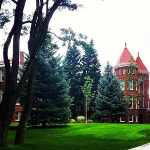 Image post by @nauflagstaff on Instagram
