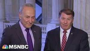 Video post by @msnbc on YouTube