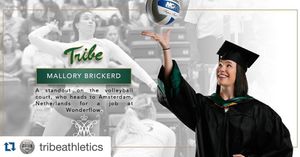 Image post by @wmtribevb on Instagram