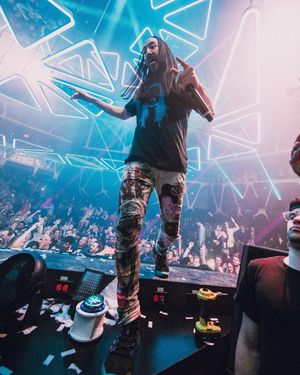 Image post by @steveaoki on Instagram