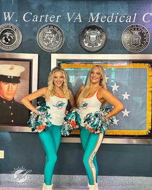 Image post by @dolphinscheer on Instagram