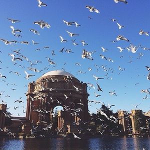 Image post by @onlyinsf on Instagram