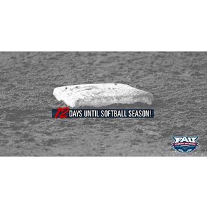 Image post by @fausoftball on Instagram