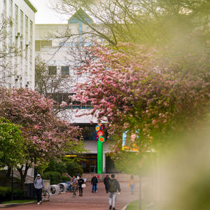 Image post by @northeastern on Instagram