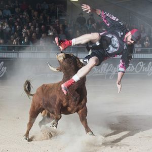 Image post by @bullfightersonly on Instagram