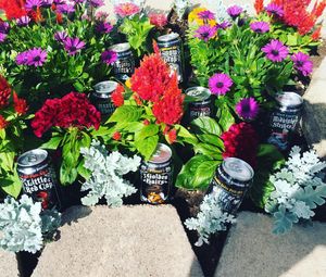 Image post by @grimmbrosbrew on Instagram