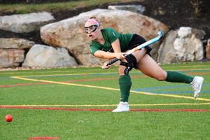 Image post by @3dlacrossene on Instagram