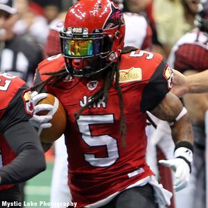 Image post by @jaxsharks on Instagram