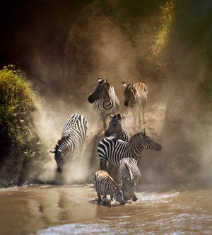Image post by @Discovery on Twitter