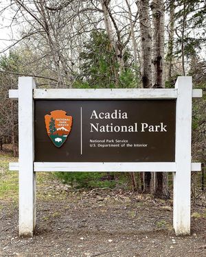 Image post by @themainemag on Instagram