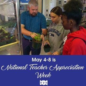 Image post by @nnschools on Instagram