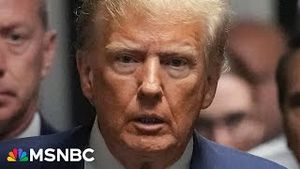 Video post by @msnbc on YouTube