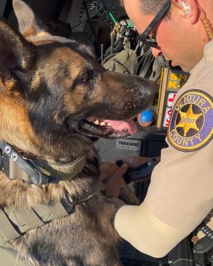Image post by @vcsheriff on Instagram