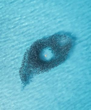 Image post by @dronepals on Instagram