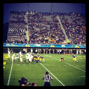 Image post by @udbluehens on Instagram