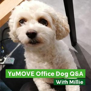 Image post by @yumove_usa on Instagram
