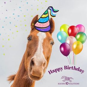 Image post by @equineidsolutions on Facebook