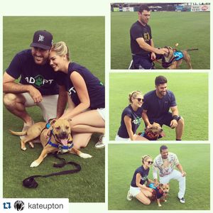 Image post by @ballysportsdet on Instagram