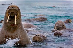 Image post by @natgeo on Instagram