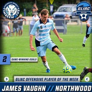 Image post by @nutimberwolves on Instagram