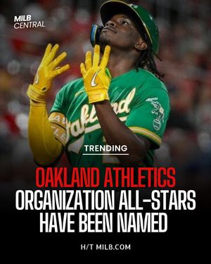Image post by @milb_central on Instagram