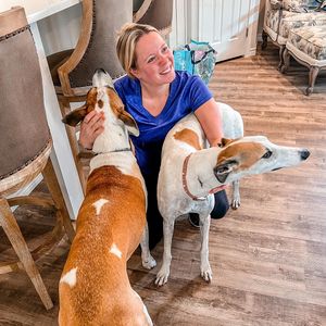 Image post by @sortitoutsa on Instagram