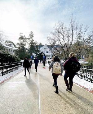 Image post by @hofstrau on Instagram