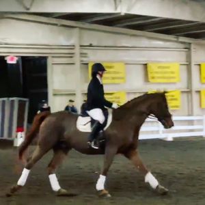 Image post by @appalachianequestrian on Instagram