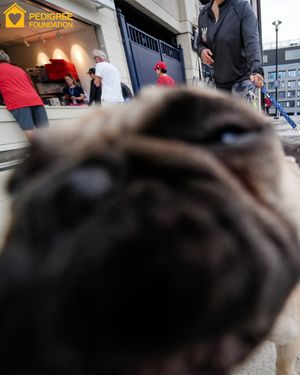Image post by @Nationals on Twitter