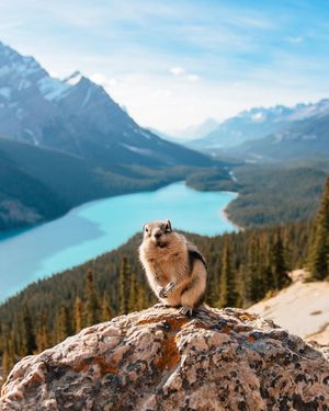 Image post by @discovery on Instagram