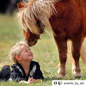 Image post by @australianturfclub on Instagram