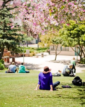 Image post by @sdsuadmissions on Instagram