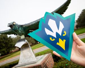 Image post by @uncw.alumni on Instagram
