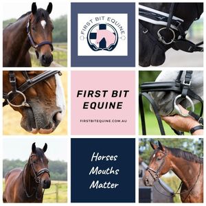 Image post by @first_bit_equine_ on Instagram